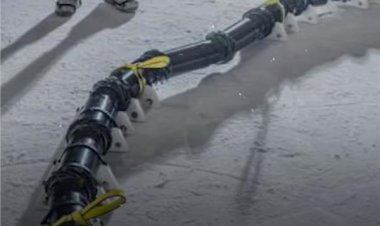 ثعبان عملاق يخترق الفضاء لاكتشاف حياة جديدة