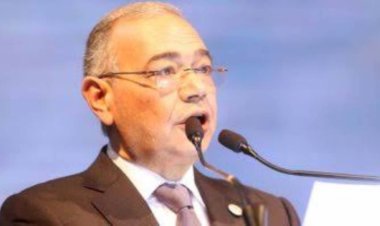 «ثورة على البيروقراطية».. أول تعليق لـ«المصريين الأحرار» على قرارات الرئيس الخاصة بـ«الاستثمار»