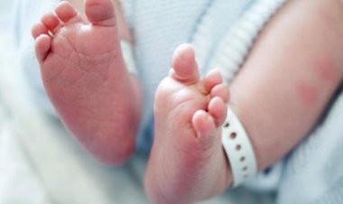 العثور على طفلة حديثة الولادة ملقاة داخل صندوق قمامة بالعياط 