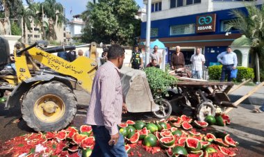 أمام ديوان عام محافظة الجيزة.. انقلاب حمولة عربة بطيخ فى حادث تصادم
