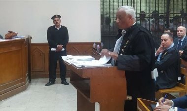 اليوم.. الجنايات تستمع لمرافعة دفاع المتهمين في قضية «صيدلي حلوان»