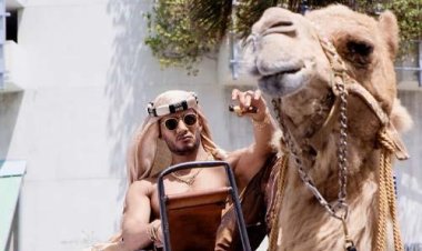 مواجهة بين الكوميديا والأكشن.. 4 أفلام تتنافس في عيد الأضحى