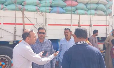 ضبط 3 سيارات محملة بـ 74 طن قمح بهدف الاحتكار في المنيا