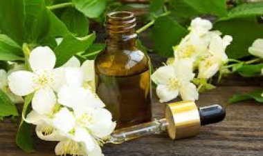 تعرفي علي فوائد زيت الياسمين للبشرة