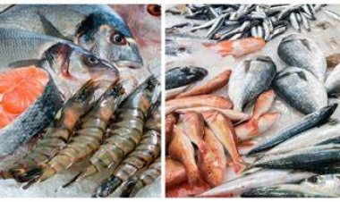 السردين رخص 70 جنيه.. أسعار الأسماك في تراجع مستمر