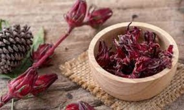 تعرّفي علي فوائد الكركدية للشعر