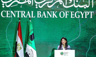 «المشاط»  تلقى الكلمة الرئيسية بالجلسة النقاشية حول حشد التمويل المناخى لتيسير التحول الأخضر