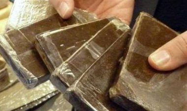 القبض على شقيقان بحوزتهما «22 كيلو حشيش ومشغولات ذهبية» في القاهرة 