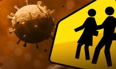 انتشرت بكثرة.. تحذيرات عالمية من خطر قادم لوباء الإنفلونزا