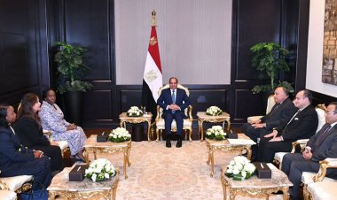 عاجل.. الرئيس السيسي يبحث التكامل الصناعي مع سكرتير عام «الكوميسا»