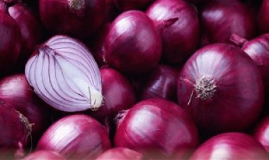 ننشر سعر البصل اليوم الأربعاء