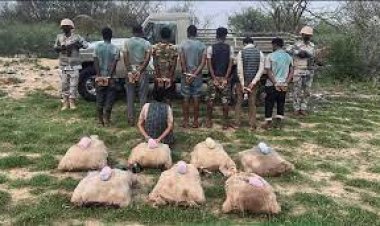 حرس الحدود بجازان يقبض على 6 مخالفين لنظام أمن الحدود لتهريبهم «القات المخدر»