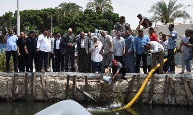 محافظ قنا يشهد بدء إنزال مليون زريعة سمكية إلى نهر النيل