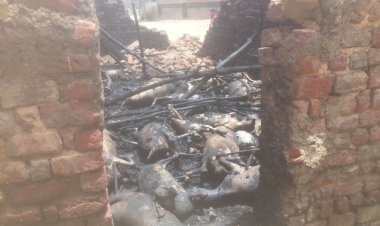 نفوق 45 رأس غنم في حريق ضخم إلتهم حوش ماشية بقنا