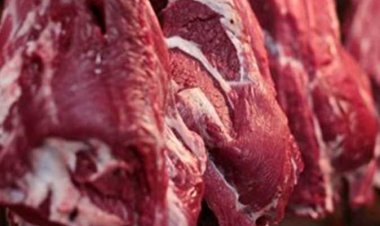 القصابين: «قطاع كبير من الجزارين تركوا المنظومة» 