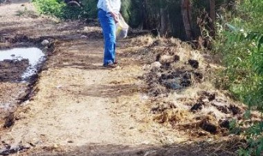 زراعة الشرقية: استمرار فعاليات الحملة القومية لمكافحة القوارض