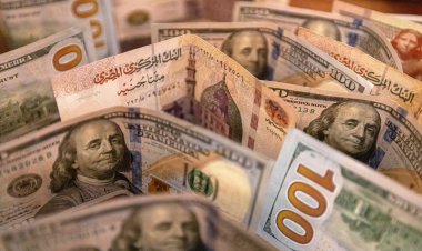 قريبًا.. انطلاق منصة إلكترونية للحصول على الرخصة الذهبية للمستثمرين