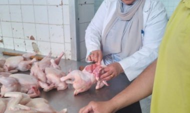 بيطري الشرقية يضبط ٣ طن و ٧٩ كجم لحوم و دجاج مخالفة