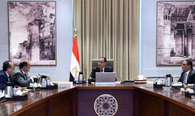 مدبولي: متابعة دورية لتنفيذ قرارات «الأعلى للاستثمار».. ومستعدون لاتخاذ إجراءات لتحفيز قطاع الصناعة