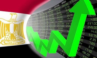 المالية: اقتصاد مصر قوي وجاذب للاستثمار