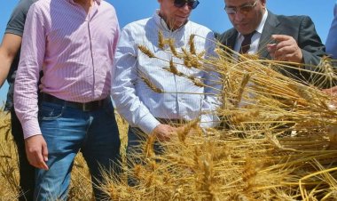 محافظ بورسعيد: توريد 100% من محصول القمح في شون وصوامع المحافظة