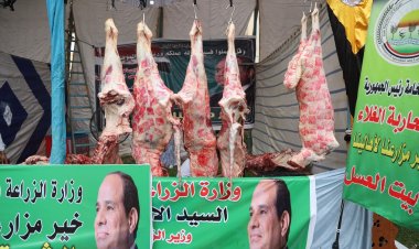 طرح لحوم بلدى بـ 225  جنيه للكيلو.. تعرّف على خريطة التوزيع