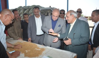 محافظ بني سويف يطمئن على انتظام أعمال  استلام وفرز القمح المحلي خلال تفقده لمجمع صوامع سدس