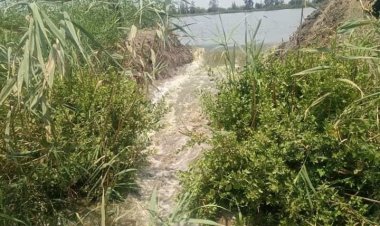 محافظ بورسعيد: تنفيذ ١٠ حالات إزالة لمزارع سمكية مخالفة