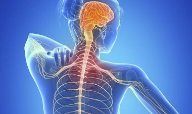 أستاذ مخ وأعصاب: الـM.S مرض مناعي يصيب السيدات أكثر من الرجال