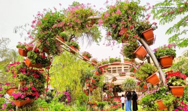 معرض الزهور 2023