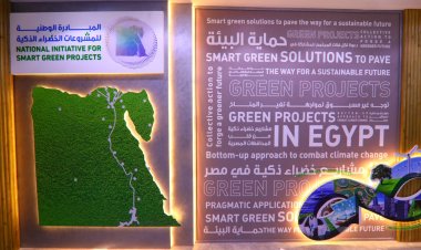 قبل غلق باب التقديم بيوم..  تعرف على أهداف المبادرة الوطنية للمشروعات الخضراء 