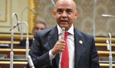 النائب عمرو هندي: مصر تقدم أوجه الرعاية للقادمين إليها من مناطق النزاعات