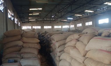 ضبط 42 طن من محصول القمح بهدف الاحتكار على الطريق الدائري بمركز سمالوط