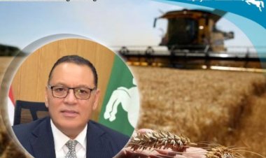 محافظ الشرقية: انتظام سير العمل بمنظومة توريد القمح لشون وصوامع المحافظة