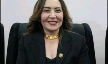 الحوار الوطني.. برلمانية عن حزب «الحرية» المصري توضح مقترحاتها لمشروع مجلس التدريب والتعليم