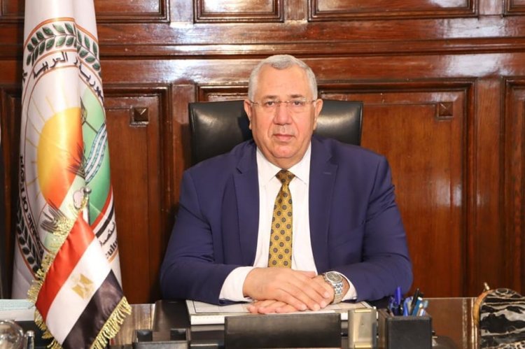 الإفراج عن 237 ألف طن أعلاف «الذرة والصويا» بـ 107 مليون دولار خلال 7 أيام