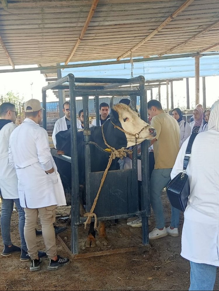 رئيس جامعة كفرالشيخ يستقبل فريق الهيئة القومية لضمان جودة التعليم والاعتماد