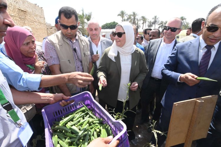 وزيرة التضامن تزور قرية الشيخ مسعود وتتفقد الحقول الإرشادية والصوب الزراعية بالمنيا