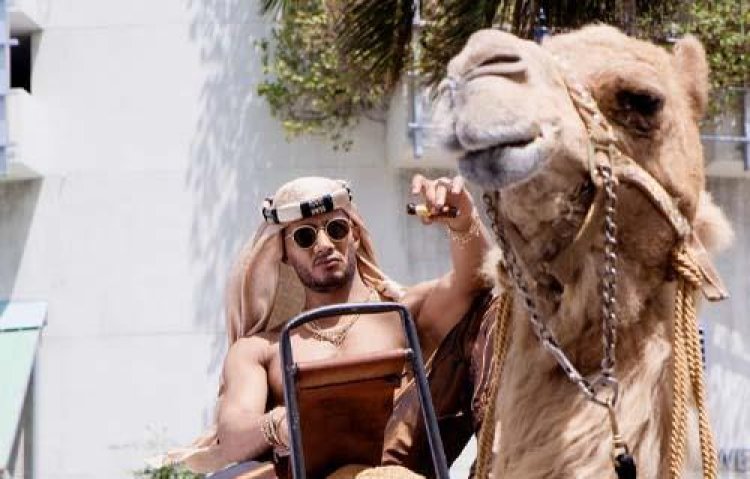 مواجهة بين الكوميديا والأكشن.. 4 أفلام تتنافس في عيد الأضحى