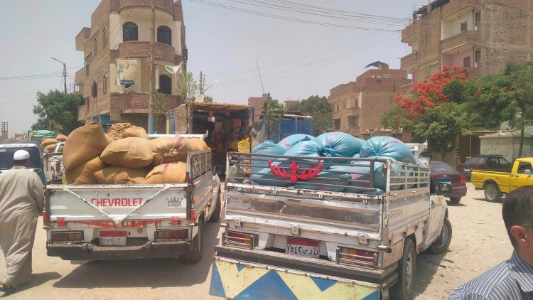 رئيس مدينة سمالوط يضبط 79 طن قمح مهرب للسوق السوداء