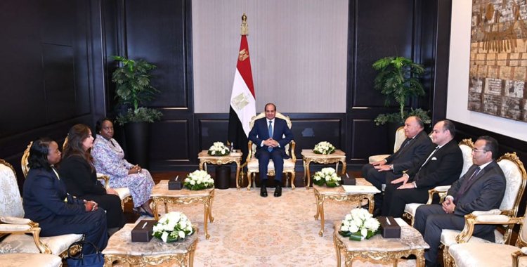 عاجل.. الرئيس السيسي يبحث التكامل الصناعي مع سكرتير عام «الكوميسا»
