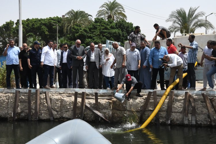 محافظ قنا يشهد بدء إنزال مليون زريعة سمكية إلى نهر النيل