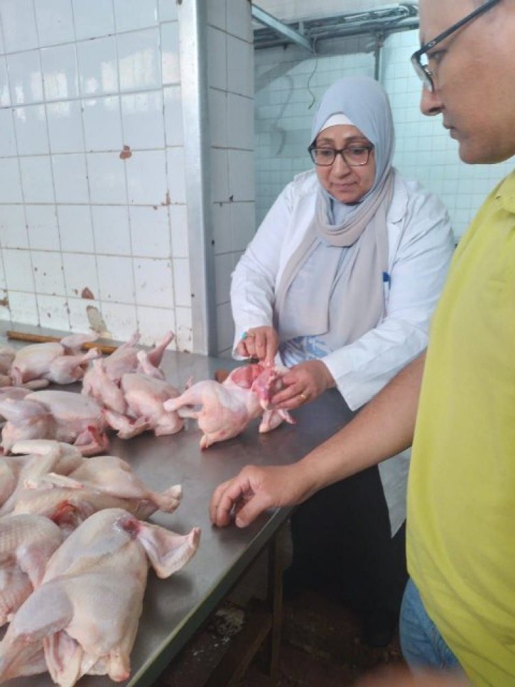 بيطري الشرقية يضبط ٣ طن و ٧٩ كجم لحوم و دجاج مخالفة