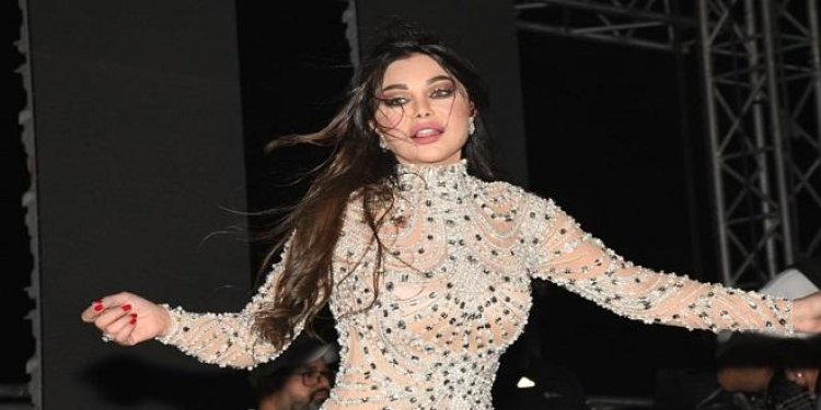 «رقص وفنانين».. أبرز لقطات حفل هيفاء وهبي في «ممشى أهل مصر»