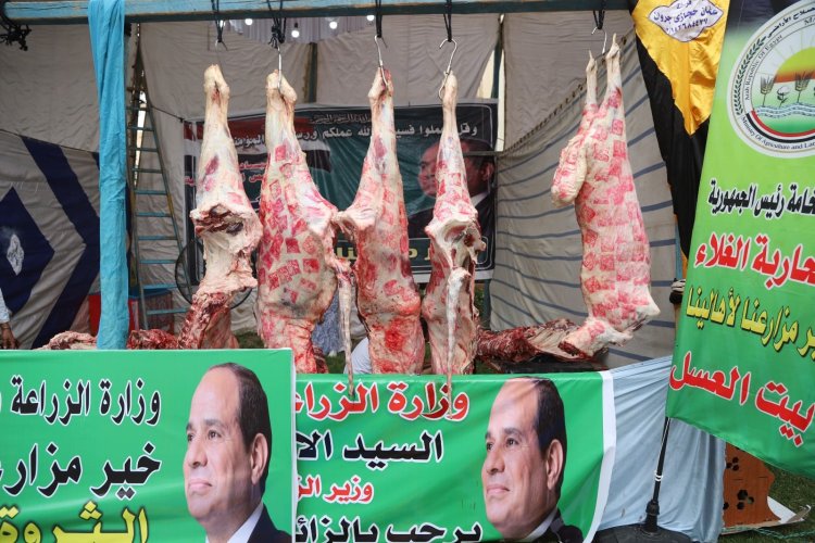 طرح لحوم بلدى بـ 225 جنيه للكيلو.. تعرّف على خريطة التوزيع
