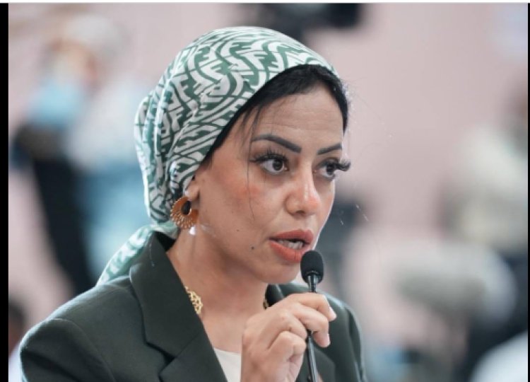 الحوار الوطني.. ممثلة «التنسيقية» تتحدث عن مشروع مجلس «التدريب والتعليم»