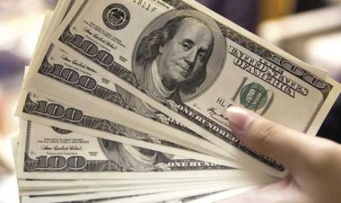 العاصمة تنشر سعر الدولار اليوم السبت 3_6_2023