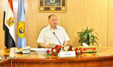 ضبط 269 طن أقماح محلية داخل مخازن ومطاحن خاصة.. و40 شيكارة دقيق بلدي في أسيوط