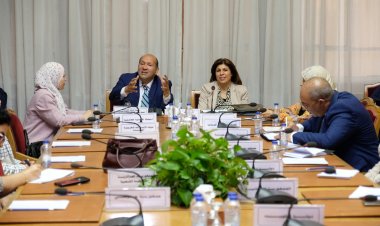 هشام بدر يستعرض المبادرة الوطنية للمشروعات الخضراء الذكية أمام جامعة الدول العربية