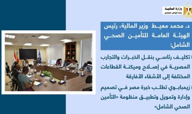 وزير المالية: القطاع الخاص شريك أصيل في توفير خدمات الرعاية الصحية بتسعيرة عادلة